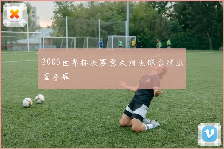 2006世界杯决赛意大利点球击败法国夺冠